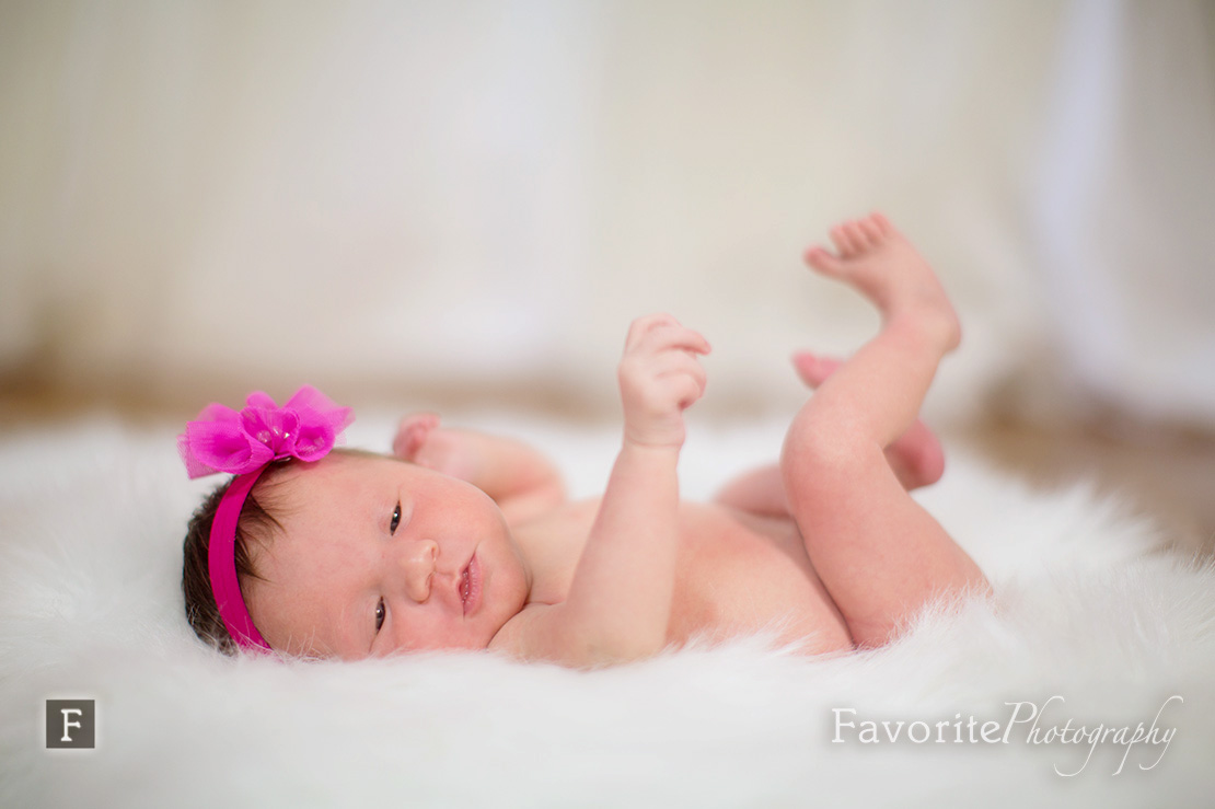 Maternity, newborn, 6 month, 1 year Family Photography