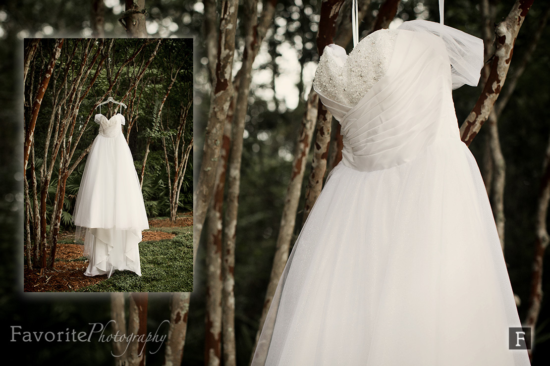 Wedding Dress Photo