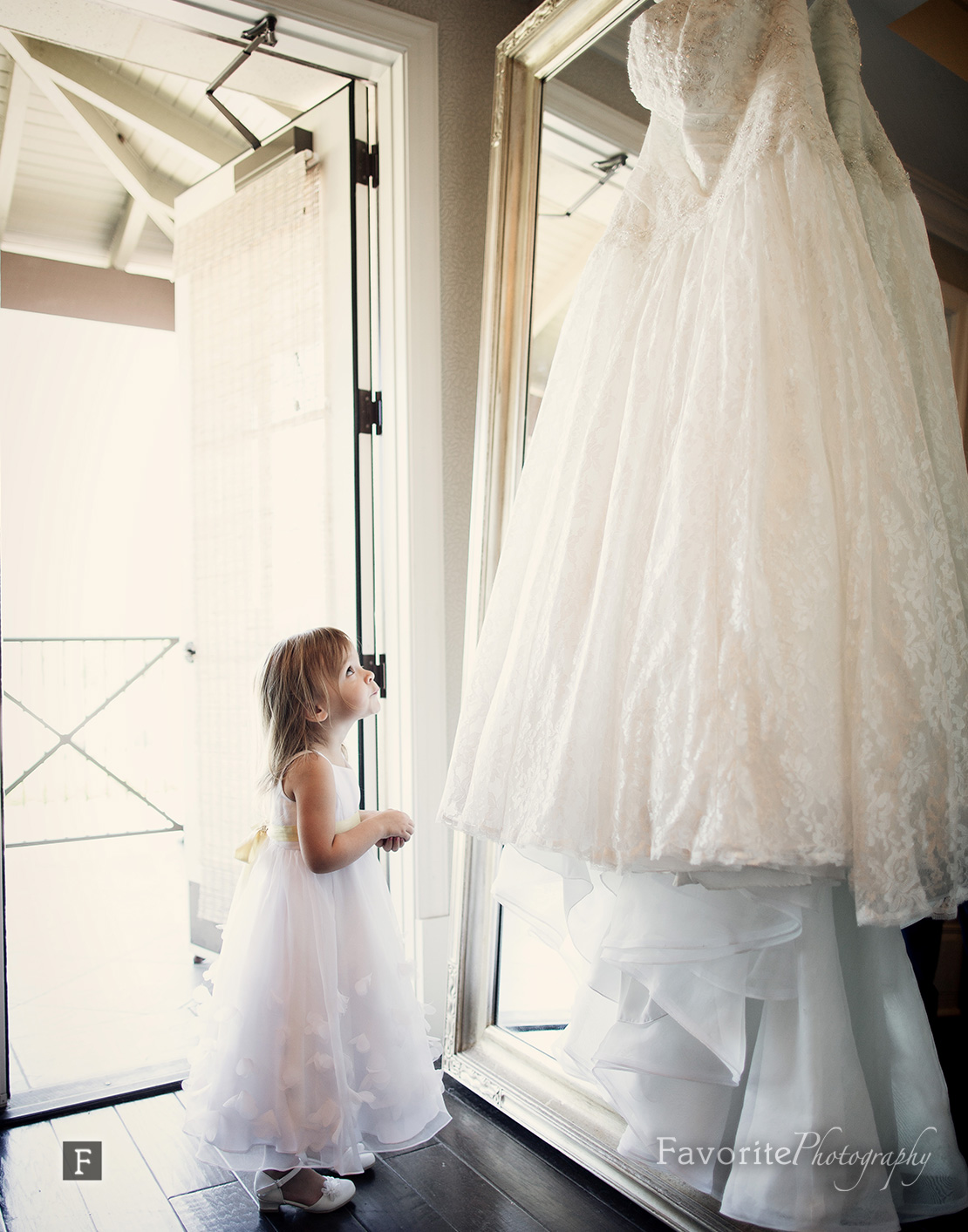 Wedding Dress Photo