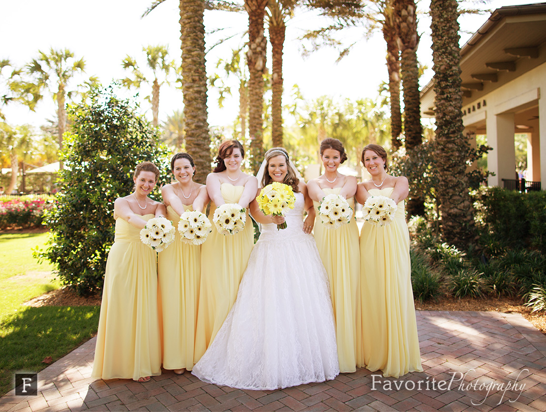 Professional Nocatee Wedding Photographers